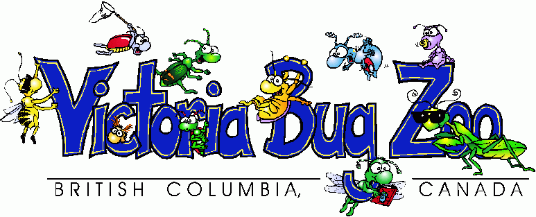 Victoria Bug Zoo Logo